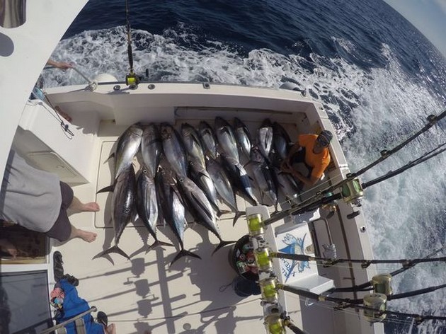 Tuna Explosion Cavalier & Blue Marlin Sport Fishing Gran Canaria