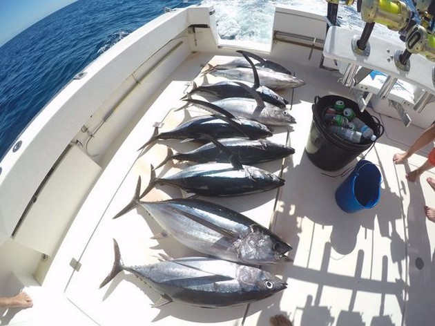 Tuna Explosion Cavalier & Blue Marlin Sport Fishing Gran Canaria