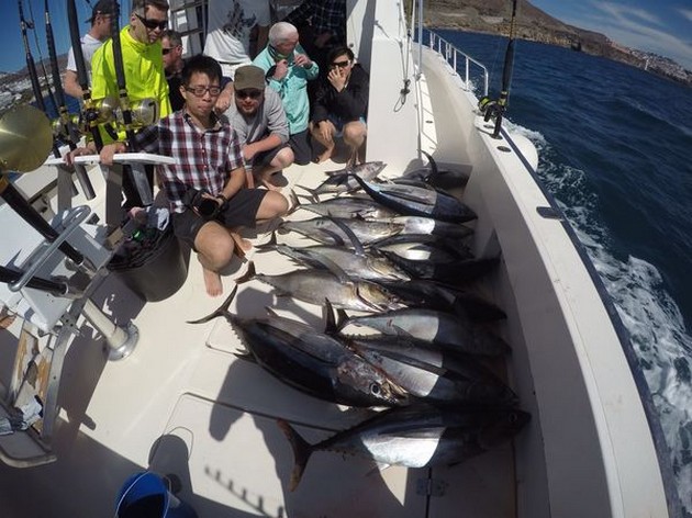 16 Albacores Cavalier & Blue Marlin Sport Fishing Gran Canaria