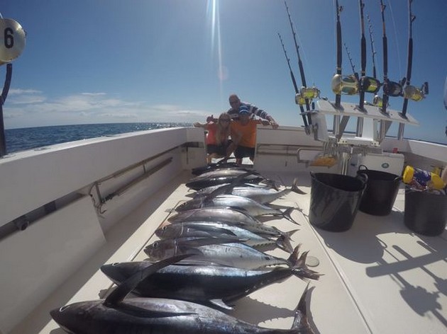 Albacore Tuna Cavalier & Blue Marlin Sport Fishing Gran Canaria