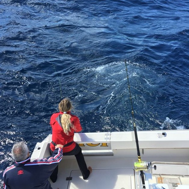 Hooked Up Cavalier & Blue Marlin Sport Fishing Gran Canaria