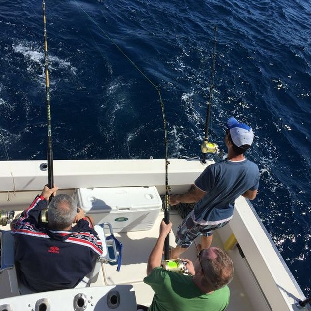Hooked Up Cavalier & Blue Marlin Sport Fishing Gran Canaria