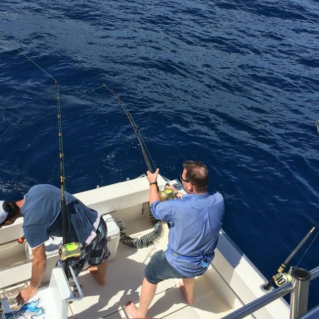 Hooked Up Cavalier & Blue Marlin Sport Fishing Gran Canaria