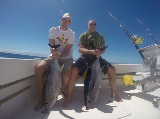 Albacore Cavalier & Blue Marlin Sport Fishing Gran Canaria