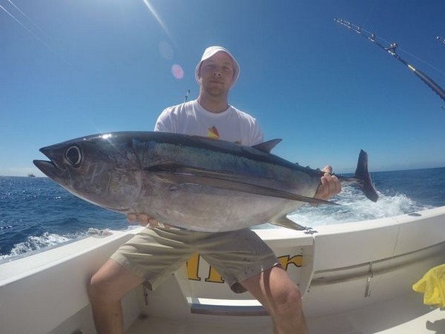 Albacore Cavalier & Blue Marlin Sport Fishing Gran Canaria