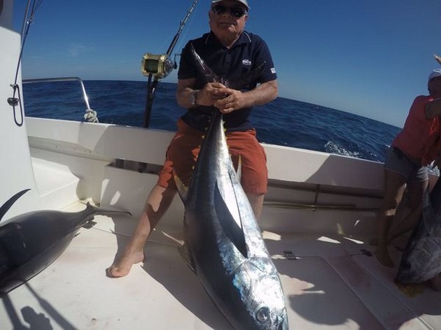 Big Eye Tuna Cavalier & Blue Marlin Sport Fishing Gran Canaria