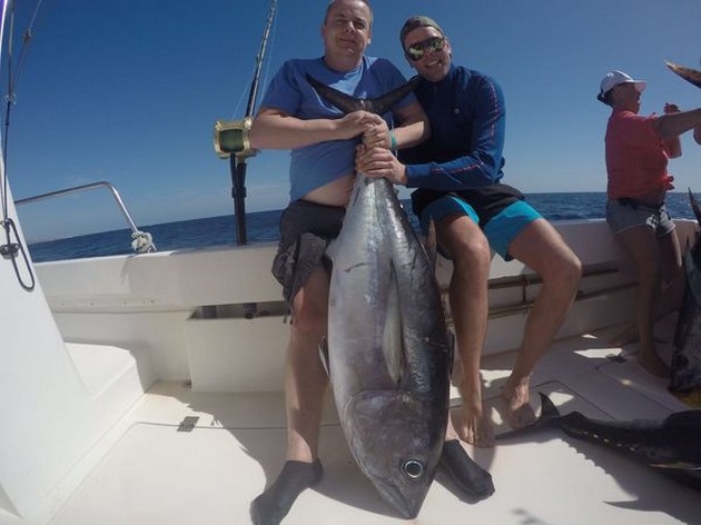 Big Eye Tuna Cavalier & Blue Marlin Sport Fishing Gran Canaria