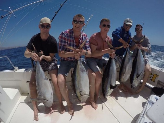 5 Grootooog Tonijnen Cavalier & Blue Marlin Sport Fishing Gran Canaria
