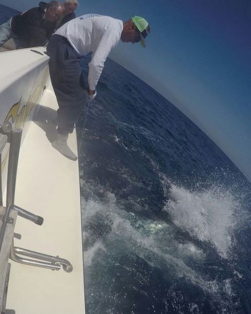 Bluefin Tuna Cavalier & Blue Marlin Sport Fishing Gran Canaria
