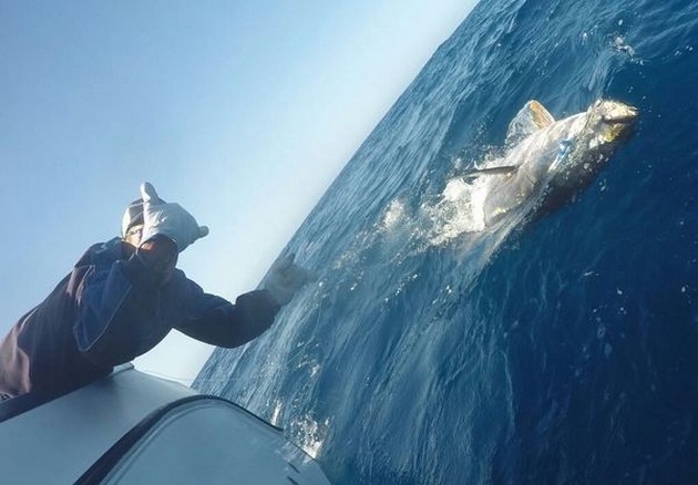 Bluefin Tuna Cavalier & Blue Marlin Sport Fishing Gran Canaria