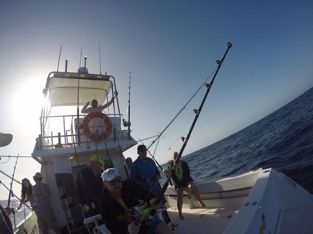 Bluefin Tuna Cavalier & Blue Marlin Sport Fishing Gran Canaria