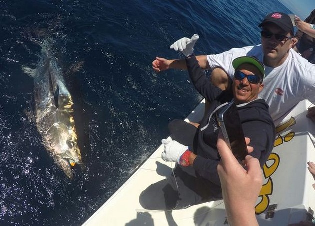 500 lbs Bluefin Cavalier & Blue Marlin Sport Fishing Gran Canaria