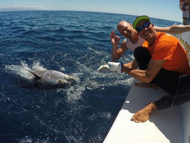 Bluefin Tuna Cavalier & Blue Marlin Sport Fishing Gran Canaria