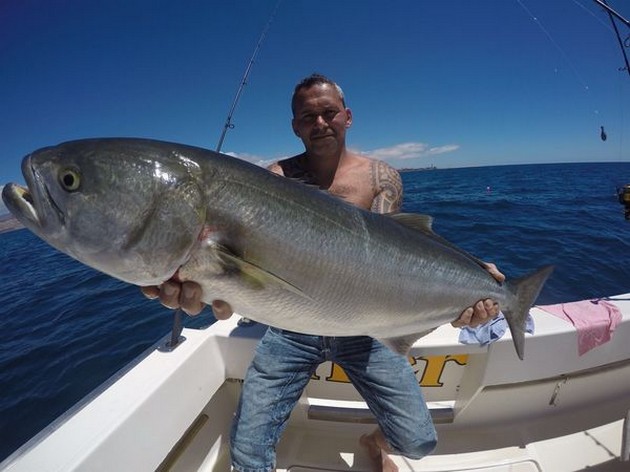 Vacker stor kungsfisk Cavalier & Blue Marlin Sport Fishing Gran Canaria