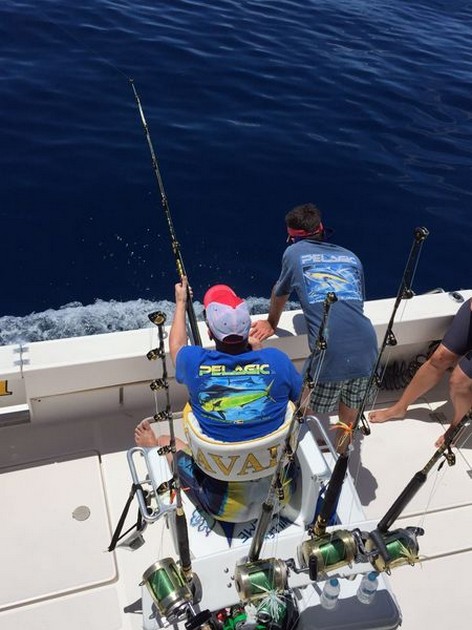 Hooked Up Cavalier & Blue Marlin Sport Fishing Gran Canaria