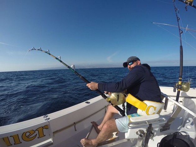 Endast båten Cavalier lyckades Cavalier & Blue Marlin Sport Fishing Gran Canaria