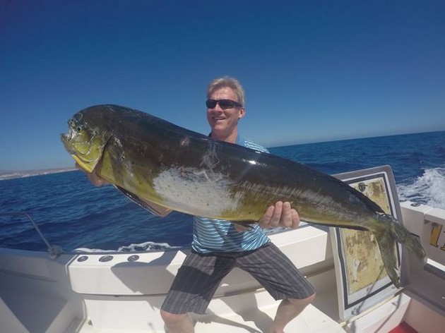 Dorado gevangen door Kate Herje uit Noorwegen Cavalier & Blue Marlin Sport Fishing Gran Canaria