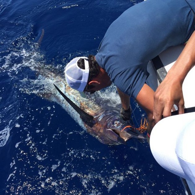 Tag & Release Cavalier & Blue Marlin Sport Fishing Gran Canaria
