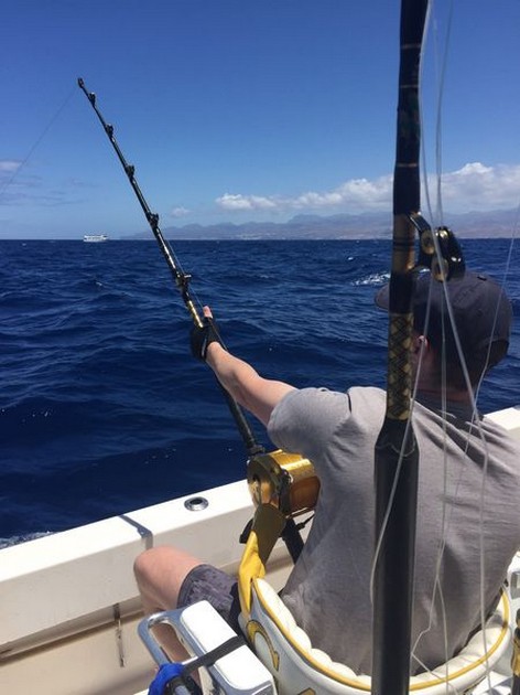 Hooked Up - Jos van Loo is fighting his 200 kg  Blue Marlin Cavalier & Blue Marlin Sport Fishing Gran Canaria