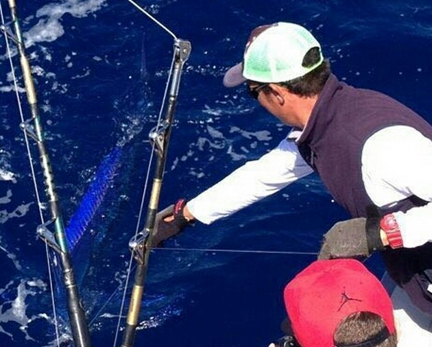 Spearfish Cavalier & Blue Marlin Sport Fishing Gran Canaria