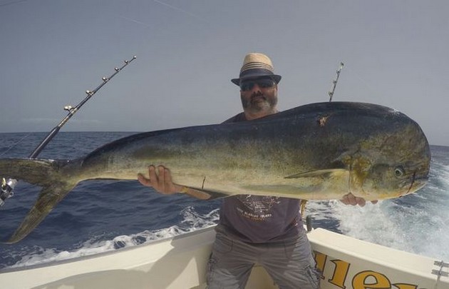 27 kg Dorado caught by Jog Gregory from the UK Cavalier & Blue Marlin Sport Fishing Gran Canaria
