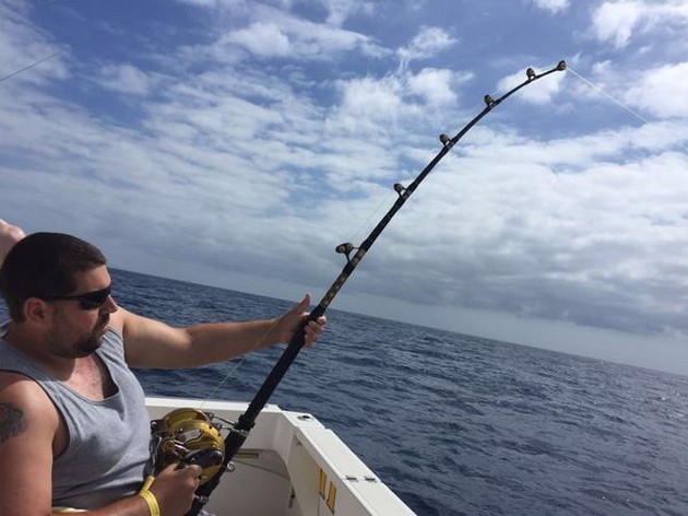 Hooked Up Cavalier & Blue Marlin Sport Fishing Gran Canaria