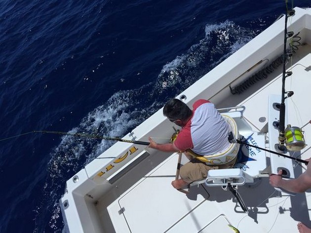 Blue Marlin Cavalier & Blue Marlin Sport Fishing Gran Canaria