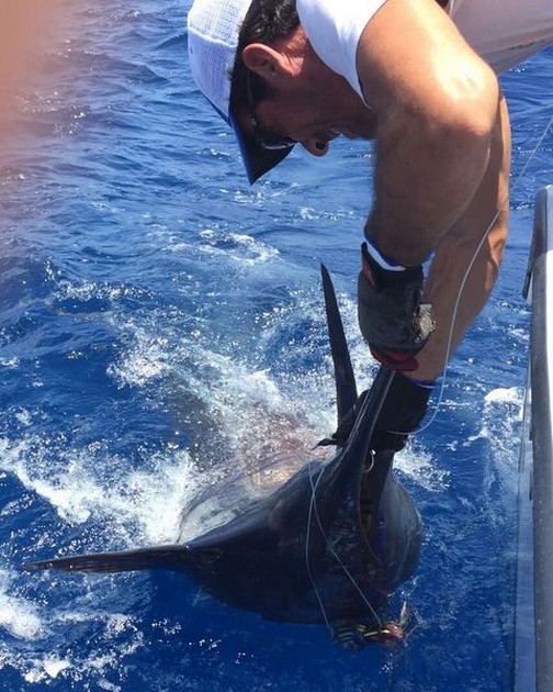 Fishing results June 30 Cavalier & Blue Marlin Sport Fishing Gran Canaria