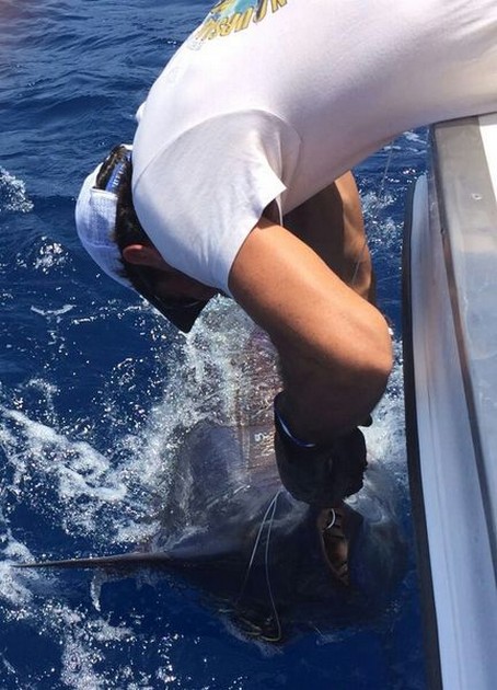 Release Me Cavalier & Blue Marlin Sport Fishing Gran Canaria