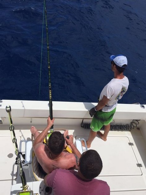 Hooked Up Cavalier & Blue Marlin Sport Fishing Gran Canaria