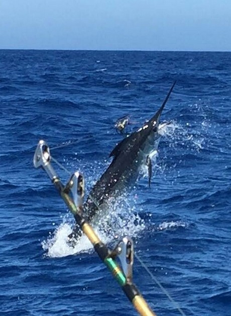 Grattis till Barry Cavalier & Blue Marlin Sport Fishing Gran Canaria