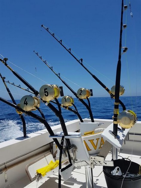 Ansluten Cavalier & Blue Marlin Sport Fishing Gran Canaria