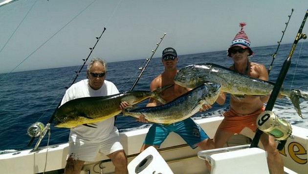 3 Dorado Cavalier & Blue Marlin Sport Fishing Gran Canaria