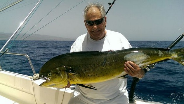 Dorado Cavalier & Blue Marlin Sport Fishing Gran Canaria