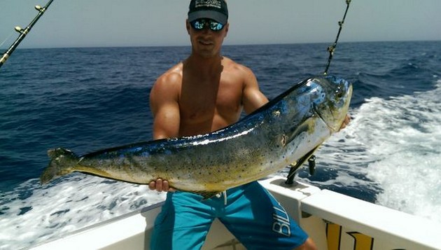 Dorado Cavalier & Blue Marlin Sport Fishing Gran Canaria