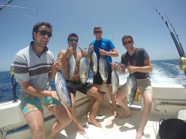 Skip Jack Tuna Cavalier & Blue Marlin Sport Fishing Gran Canaria