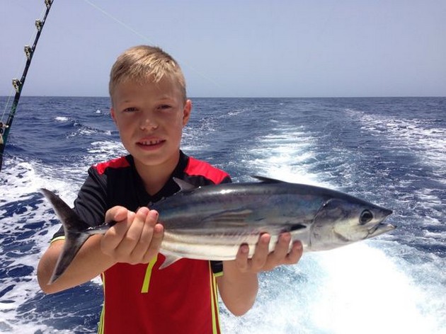 Skipjack Tuna Cavalier & Blue Marlin Sport Fishing Gran Canaria