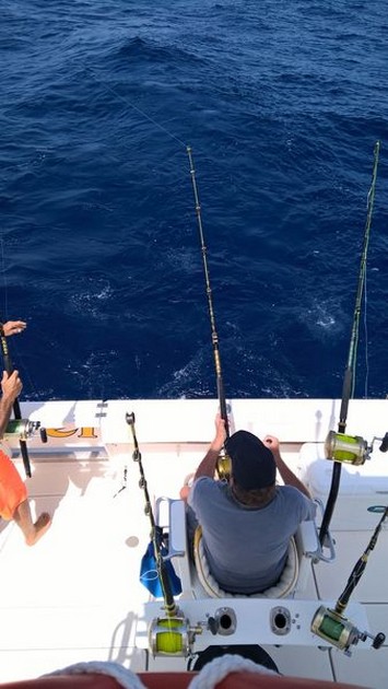 Hooked Up Cavalier & Blue Marlin Sport Fishing Gran Canaria