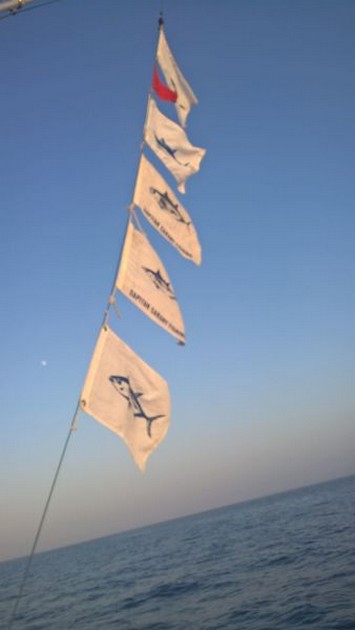 En annan fiskexplosion. Cavalier & Blue Marlin Sport Fishing Gran Canaria