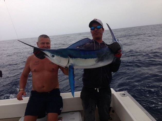 White Marlin released Cavalier & Blue Marlin Sport Fishing Gran Canaria