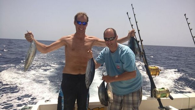 Skipjack Tuna Cavalier & Blue Marlin Sport Fishing Gran Canaria