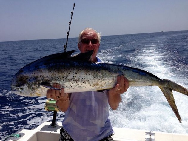 Dorado Cavalier & Blue Marlin Sport Fishing Gran Canaria
