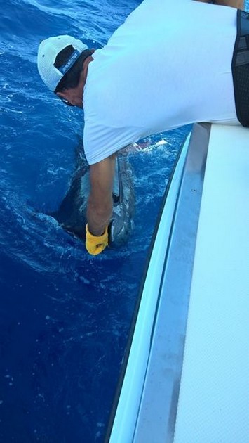 Release Me Cavalier & Blue Marlin Sport Fishing Gran Canaria