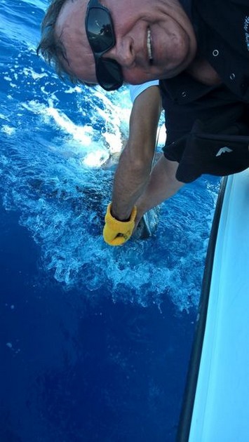 Congratulations Cavalier & Blue Marlin Sport Fishing Gran Canaria