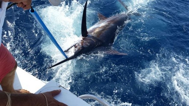 En weer eentje Cavalier & Blue Marlin Sport Fishing Gran Canaria