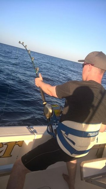 Stand-up - Stand -up Cavalier & Blue Marlin Sport Fishing Gran Canaria