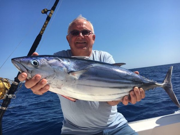 Skipjack Tuna Cavalier & Blue Marlin Sport Fishing Gran Canaria