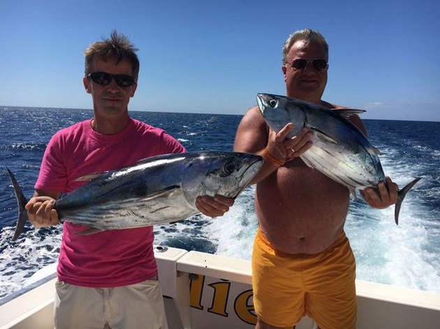 Skip Jack Tuna Cavalier & Blue Marlin Sport Fishing Gran Canaria