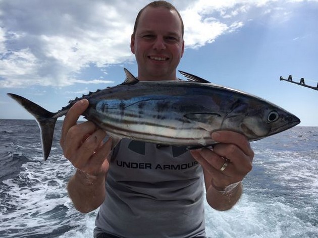 Skipjack Tuna Cavalier & Blue Marlin Sport Fishing Gran Canaria