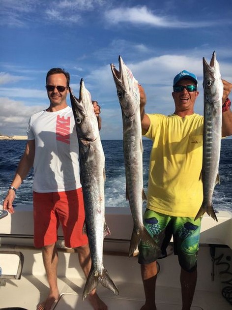 Barracuda Cavalier & Blue Marlin Sport Fishing Gran Canaria